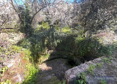 Terreno para Venda em Alcaide