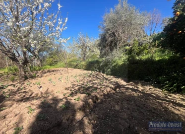 Terreno para Venda em Alcaide