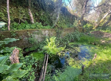 Terreno para Venda em Alcaide