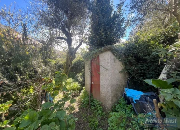 Terreno para Venda em Alcaide