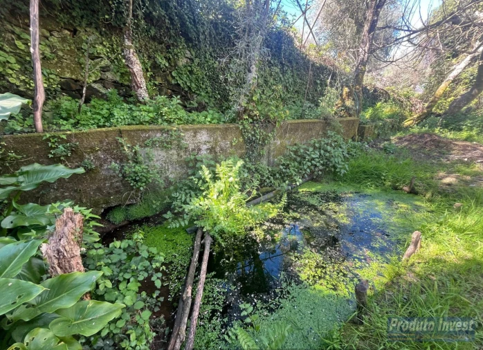 Terreno para Venda em Alcaide Foto 3