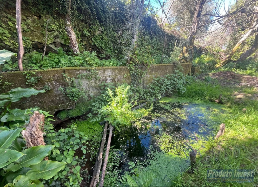 Terreno para Venda em Alcaide Foto 3