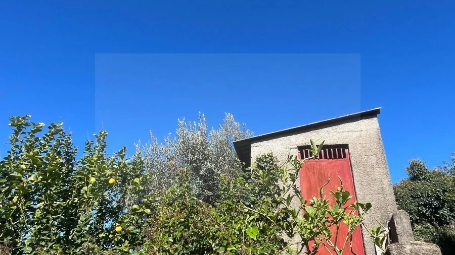 Terreno para Venda em Alcaide