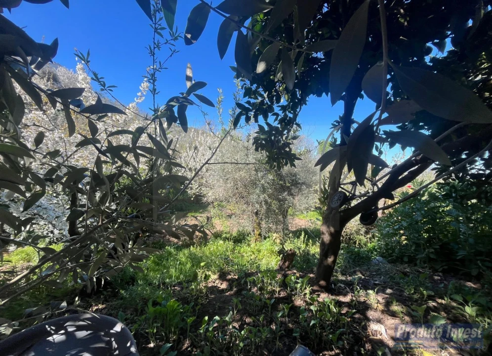 Terreno para Venda em Alcaide Foto 14