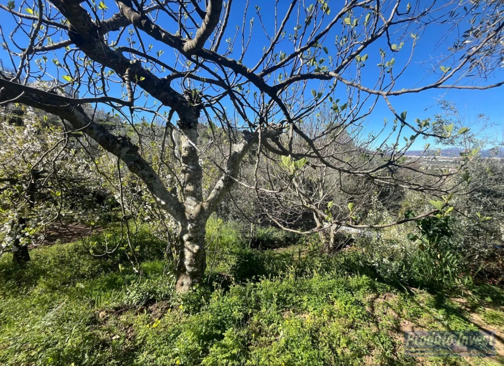 Terreno para Venda em Alcaide Foto 11