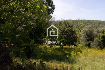 Moradia T2 para Venda em Ansião