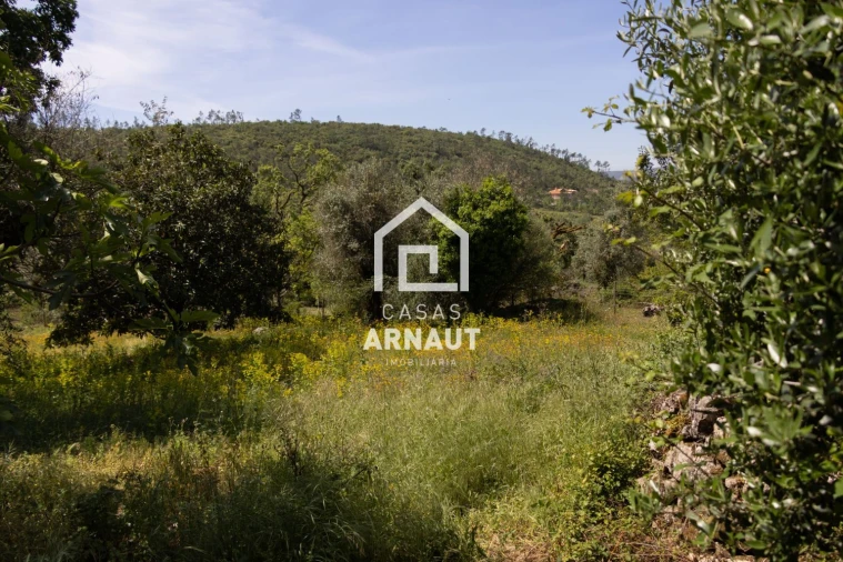 Moradia T2 para Venda em Ansião Foto 46