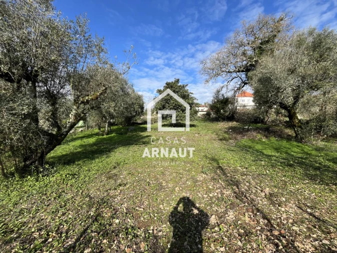 Moradia T2 para Venda em Ansião Foto 51