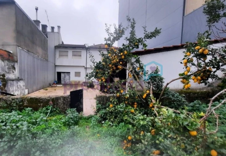 Terreno para Venda em Rio Tinto Foto 8