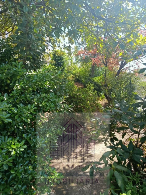 Moradia T10 para Venda em Oliveira do Hospital e São Paio de Gramaços