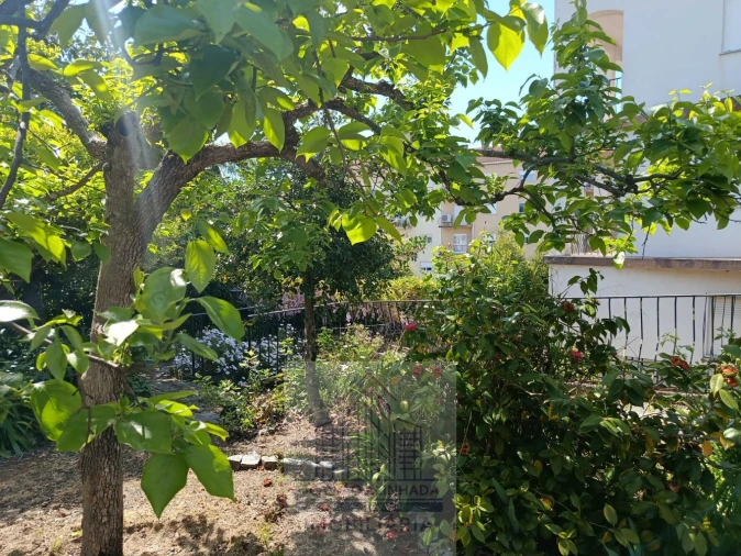 Moradia T10 para Venda em Oliveira do Hospital e São Paio de Gramaços Foto 12