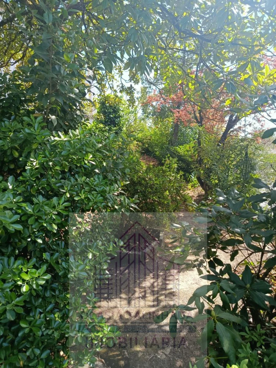 Moradia T10 para Venda em Oliveira do Hospital e São Paio de Gramaços Foto 30