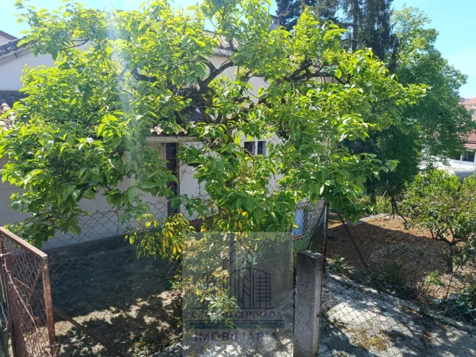 Moradia T10 para Venda em Oliveira do Hospital e São Paio de Gramaços Foto 39