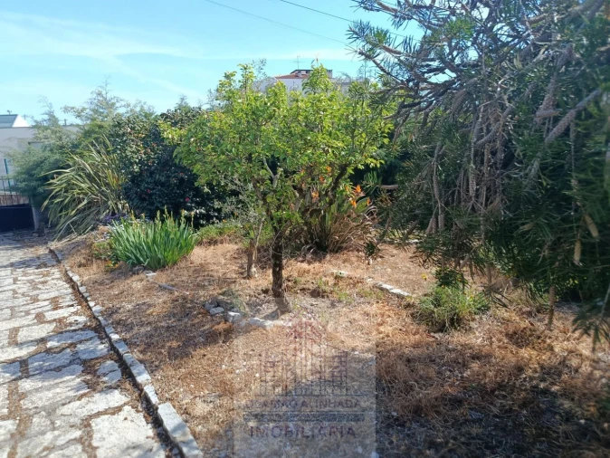 Moradia T10 para Venda em Oliveira do Hospital e São Paio de Gramaços Foto 6