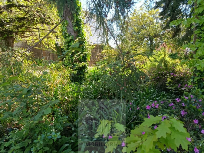 Moradia T10 para Venda em Oliveira do Hospital e São Paio de Gramaços Foto 33