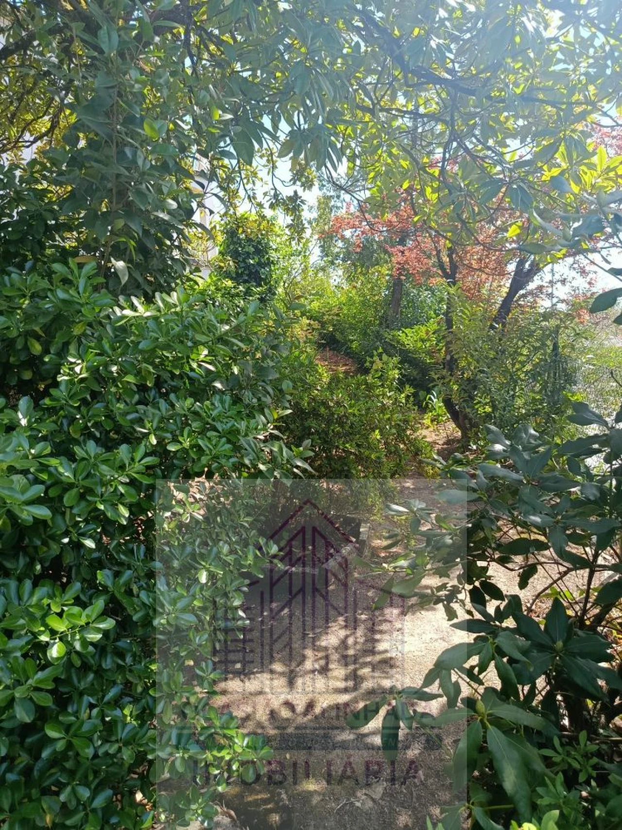 Moradia T10 para Venda em Oliveira do Hospital e São Paio de Gramaços Foto 30