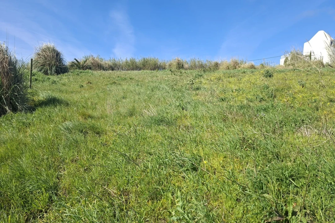 Terreno para Venda em Atouguia da Baleia Foto 3