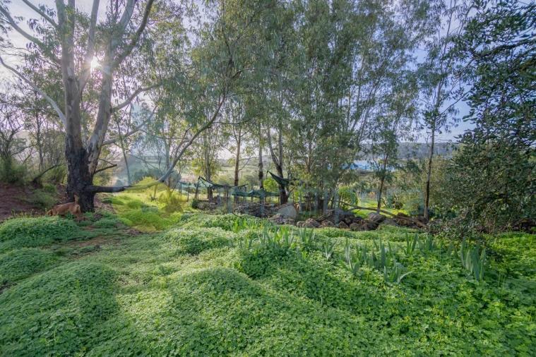 Moradia T3 para Venda em São Bartolomeu de Messines Foto 42