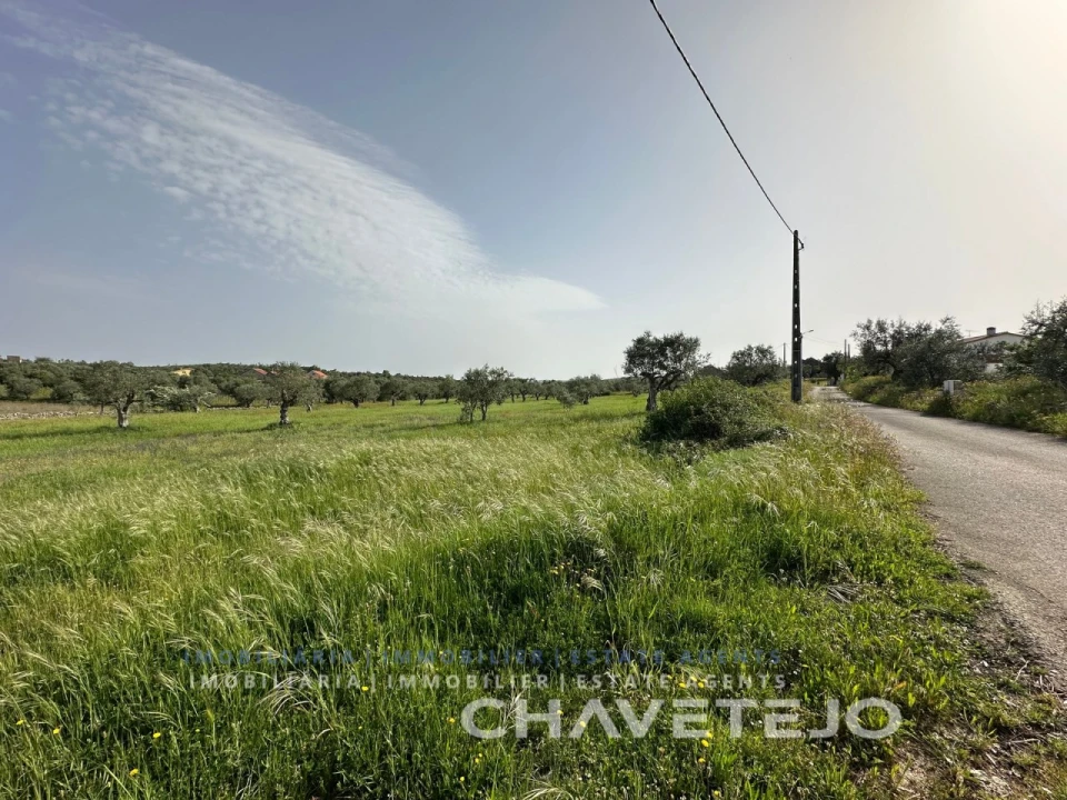 Moradia T2 para Venda em Chãos Foto 5