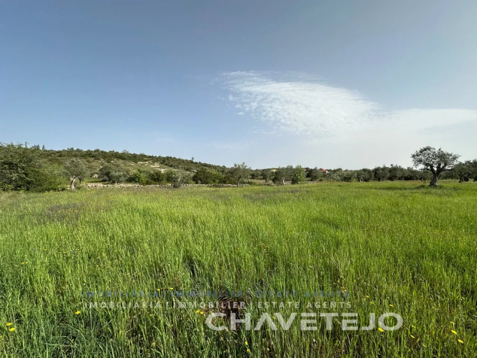 Moradia T2 para Venda em Chãos Foto 6