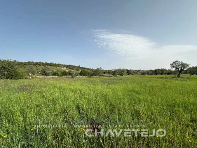 Moradia T2 para Venda em Chãos Foto 6