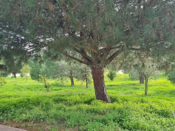Moradia T3 para Venda em Charneca de Caparica e Sobreda