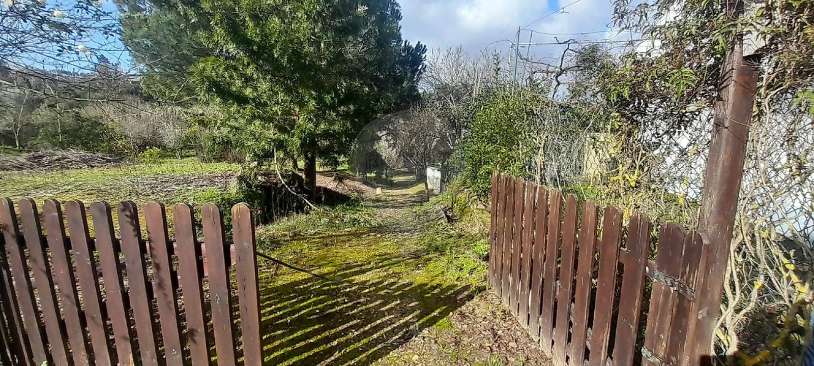 Moradia T2 para Venda em Ulme Foto 7