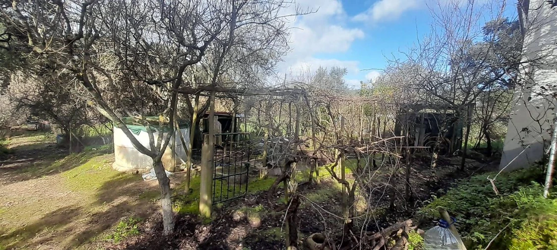 Moradia T2 para Venda em Ulme Foto 4