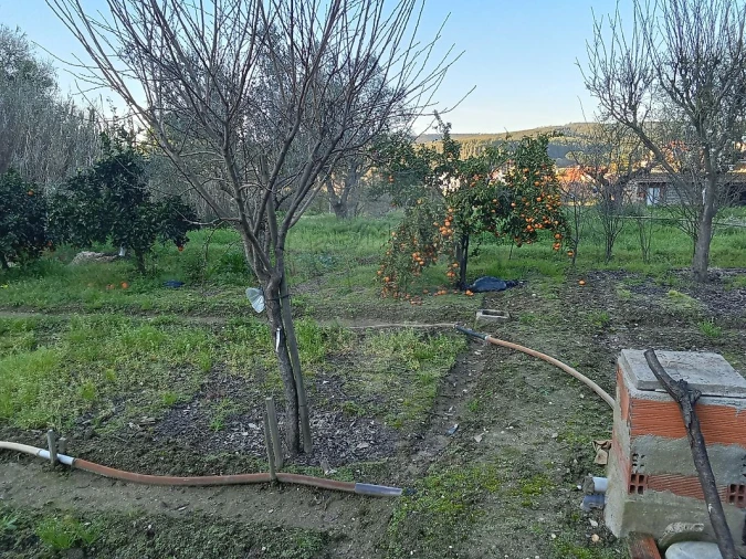 Moradia T2 para Venda em Ulme Foto 9