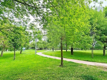 Loja para Arrendamento em Vila Nova da Barquinha