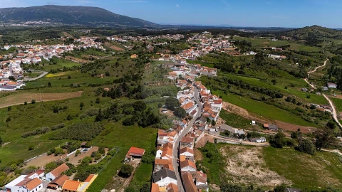 Moradia T1 para Venda em Olhalvo