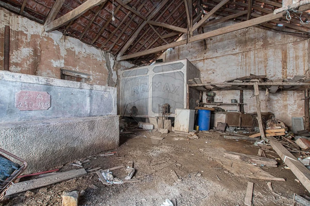 Moradia T1 para Venda em Olhalvo Foto 5