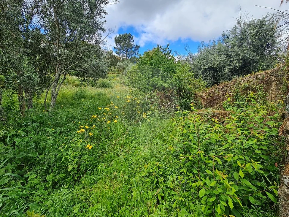 Moradia T3 para Venda em Envendos Foto 8