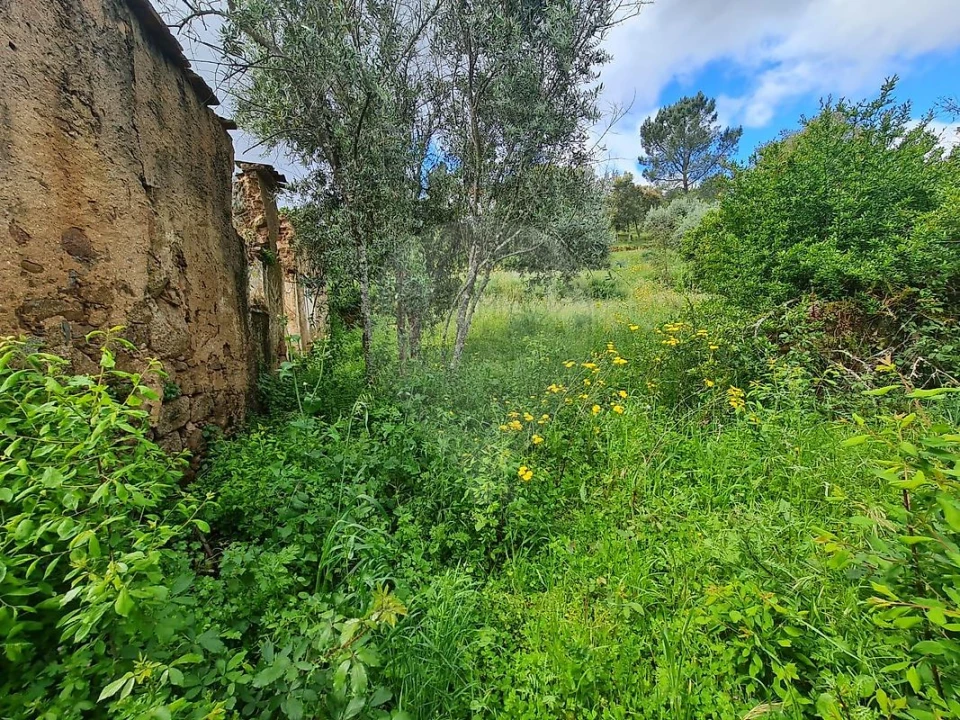 Moradia T3 para Venda em Envendos Foto 4