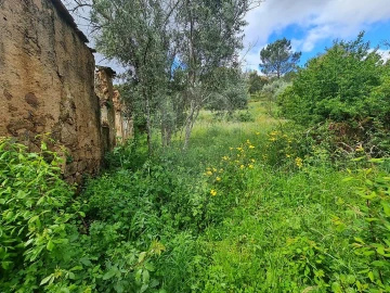 Moradia T3 para Venda em Envendos