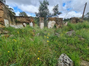 Moradia T3 para Venda em Envendos