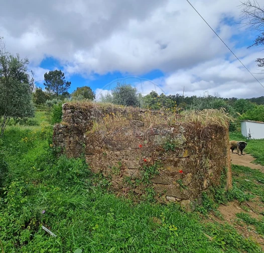 Moradia T3 para Venda em Envendos Foto 6