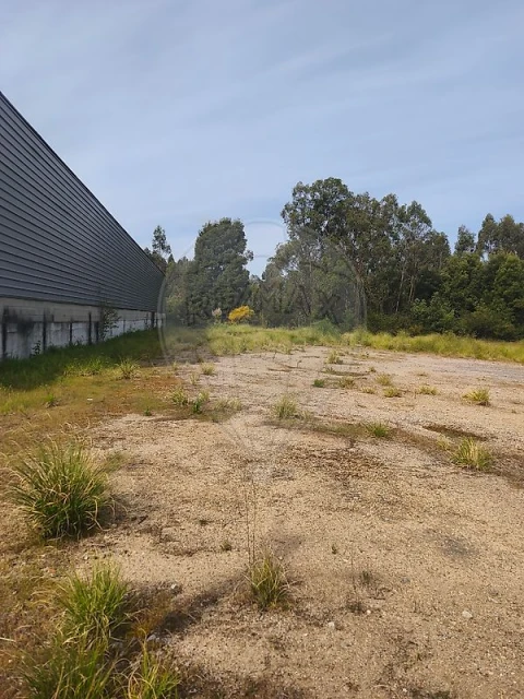 Terreno para Venda em São Paio de Oleiros