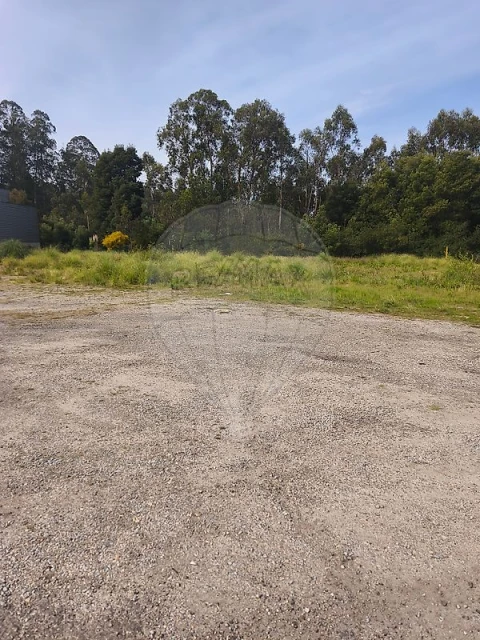 Terreno para Venda em São Paio de Oleiros