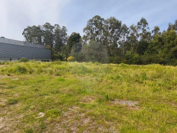 Terreno para Venda em São Paio de Oleiros
