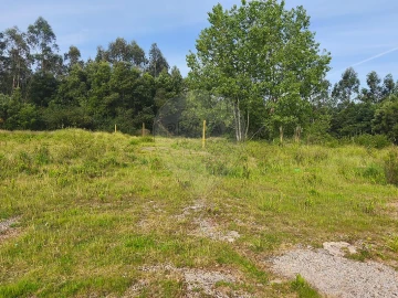 Terreno para Venda em São Paio de Oleiros