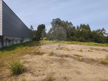 Terreno para Venda em São Paio de Oleiros
