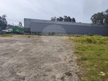 Terreno para Venda em São Paio de Oleiros