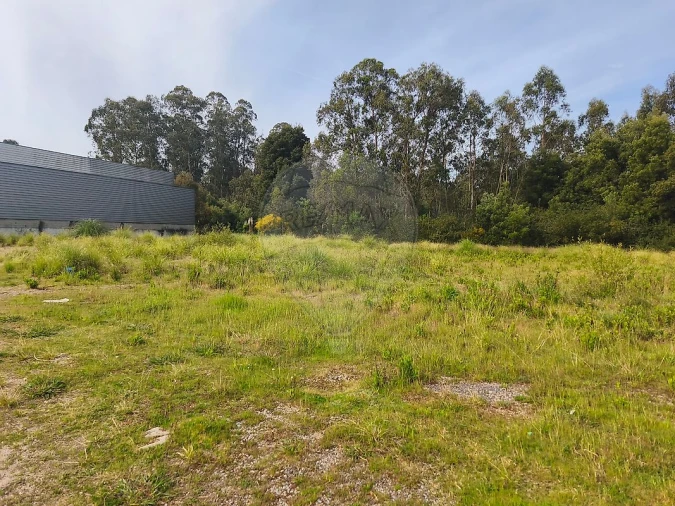 Terreno para Venda em São Paio de Oleiros Foto 10