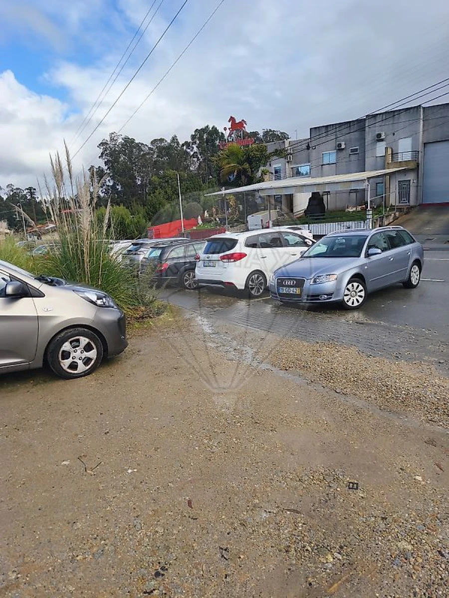 Terreno para Venda em São Paio de Oleiros Foto 3