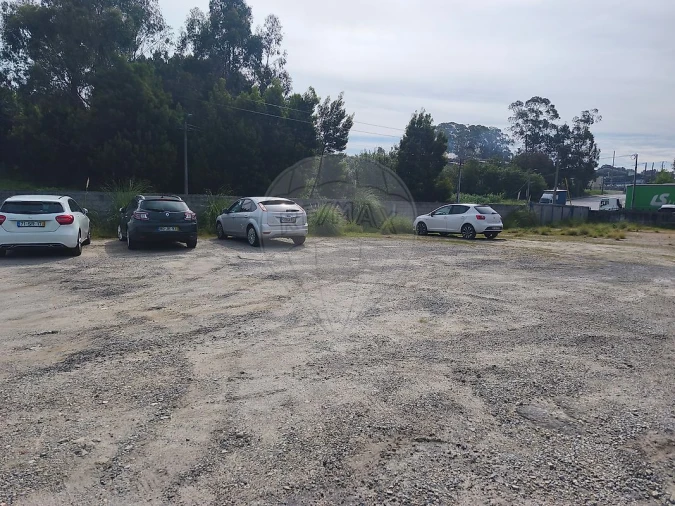 Terreno para Venda em São Paio de Oleiros Foto 11