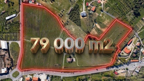 Quinta T7 para Venda em Alcaria