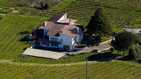 Quinta T7 para Venda em Alcaria