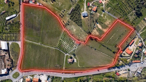 Quinta T7 para Venda em Alcaria