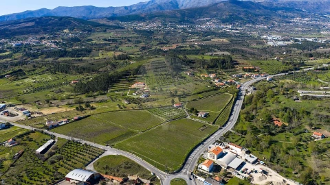 Quinta T7 para Venda em Alcaria